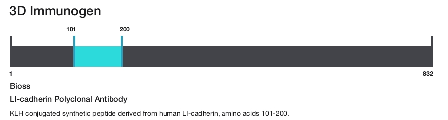 LI-cadherin Polyclonal Antibody