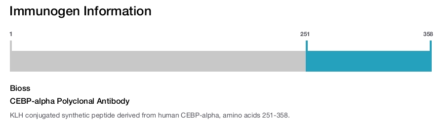 CEBP-alpha Polyclonal Antibody