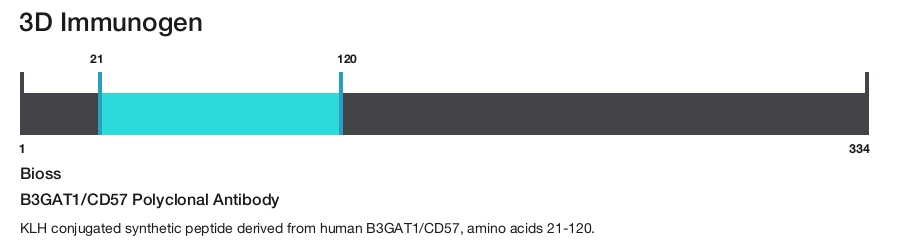 B3GAT1/CD57 Polyclonal Antibody