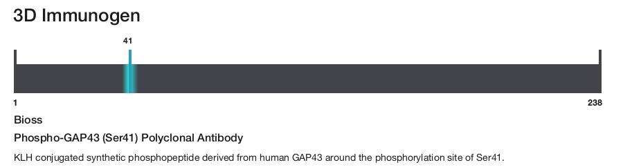 Phospho-GAP43 (Ser41) Polyclonal Antibody