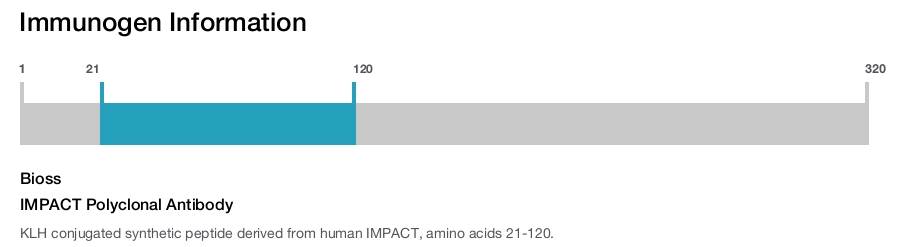 IMPACT Polyclonal Antibody