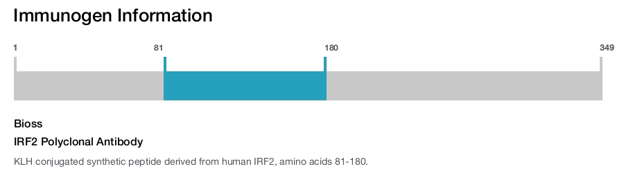 IRF2 Polyclonal Antibody