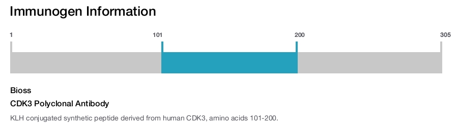 CDK3 Polyclonal Antibody
