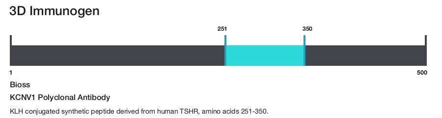 KCNV1 Polyclonal Antibody