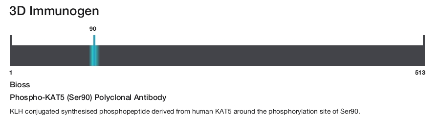 Phospho-KAT5 (Ser90) Polyclonal Antibody