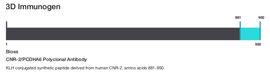 CNR-2/PCDHA6 Polyclonal Antibody