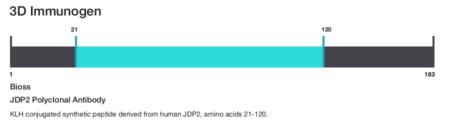 JDP2 Polyclonal Antibody