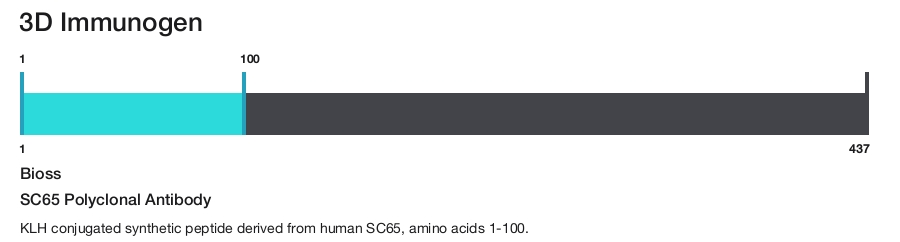 SC65 Polyclonal Antibody