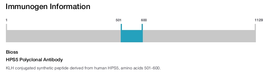 HPS5 Polyclonal Antibody