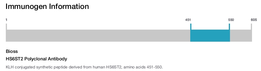 HS6ST2 Polyclonal Antibody
