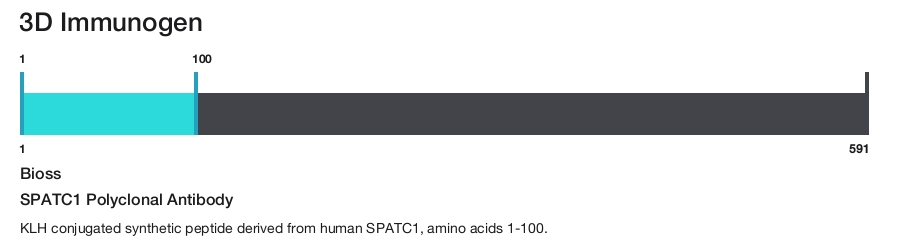 SPATC1 Polyclonal Antibody