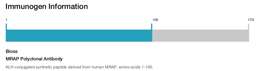 MRAP Polyclonal Antibody