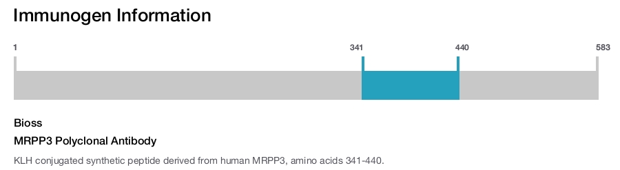 MRPP3 Polyclonal Antibody