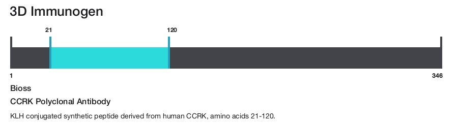 CCRK Polyclonal Antibody