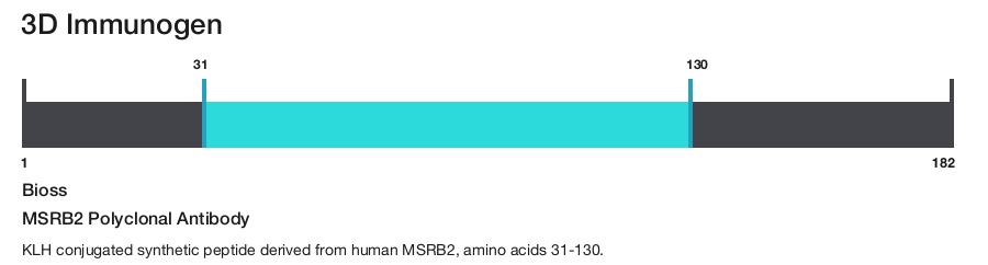 MSRB2 Polyclonal Antibody
