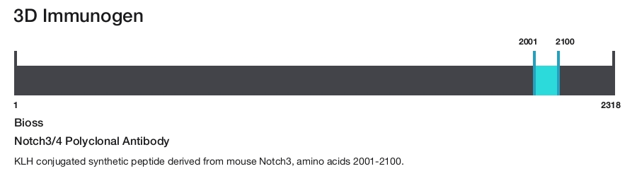 Notch3/4 Polyclonal Antibody