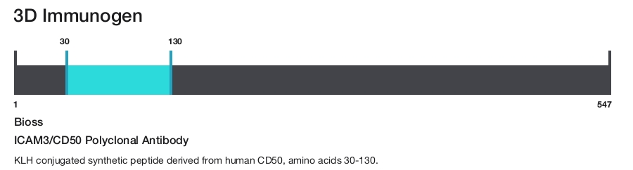 ICAM3/CD50 Polyclonal Antibody