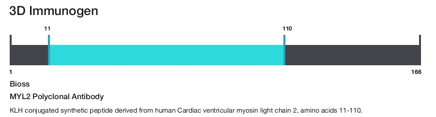 MYL2 Polyclonal Antibody