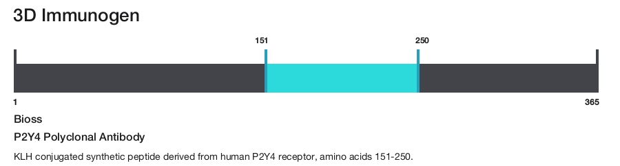 P2Y4 Polyclonal Antibody