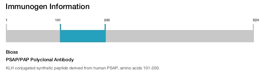 PSAP/PAP Polyclonal Antibody