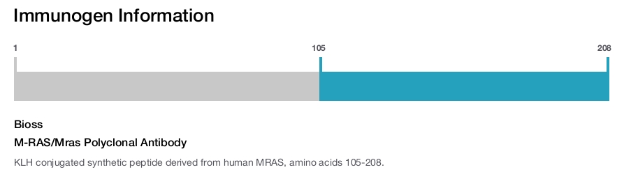 M-RAS/Mras Polyclonal Antibody