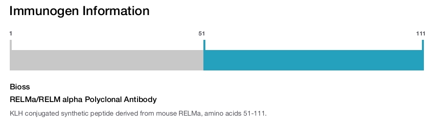 RELMa/RELM alpha Polyclonal Antibody
