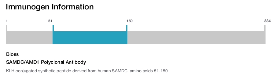 SAMDC/AMD1 Polyclonal Antibody