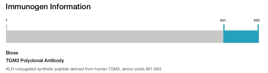 TGM3 Polyclonal Antibody