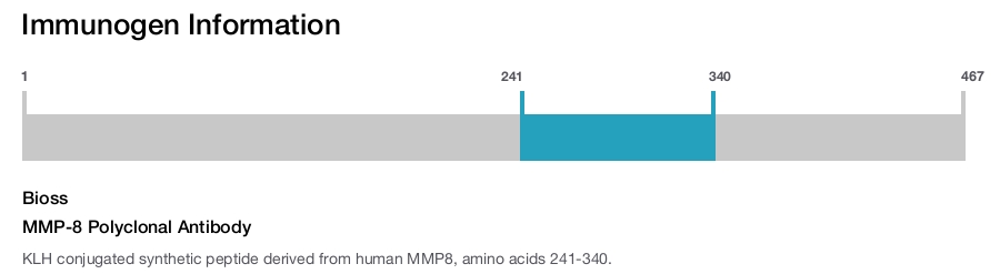 MMP-8 Polyclonal Antibody