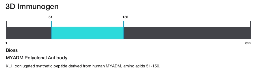 MYADM Polyclonal Antibody