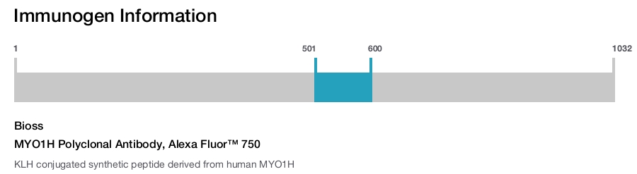 MYO1H Polyclonal Antibody, Alexa Fluor™ 750