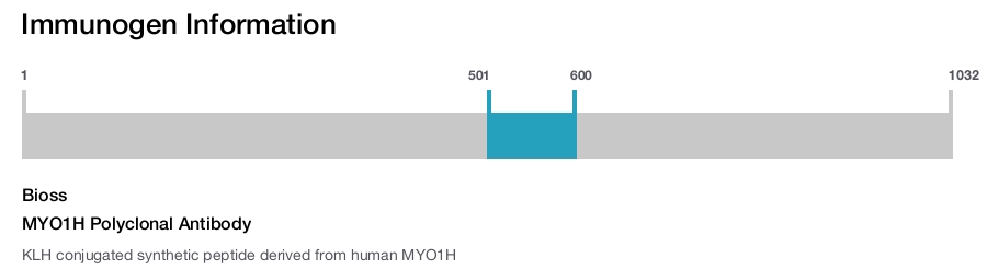 MYO1H Polyclonal Antibody