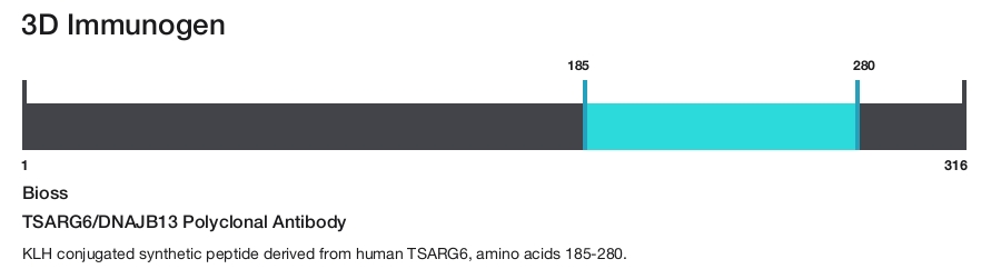 TSARG6/DNAJB13 Polyclonal Antibody
