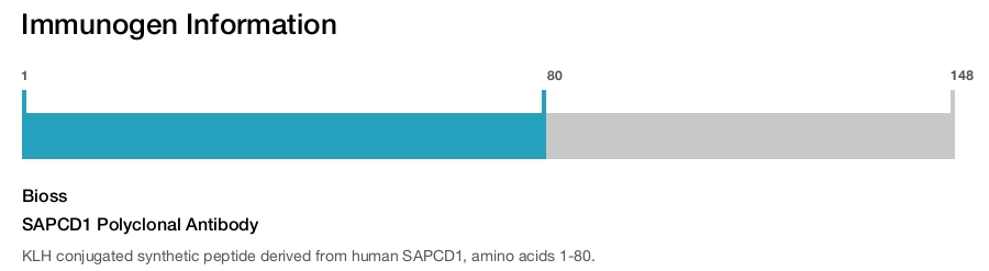 SAPCD1 Polyclonal Antibody