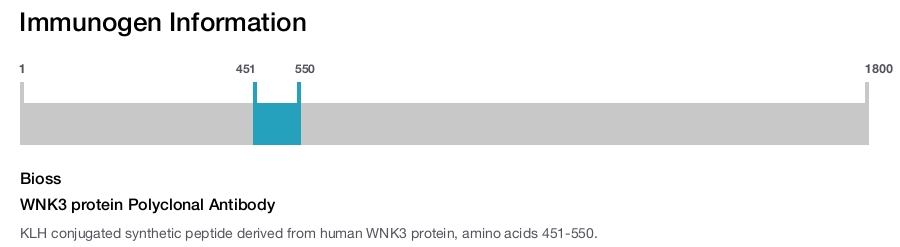 WNK3 protein Polyclonal Antibody