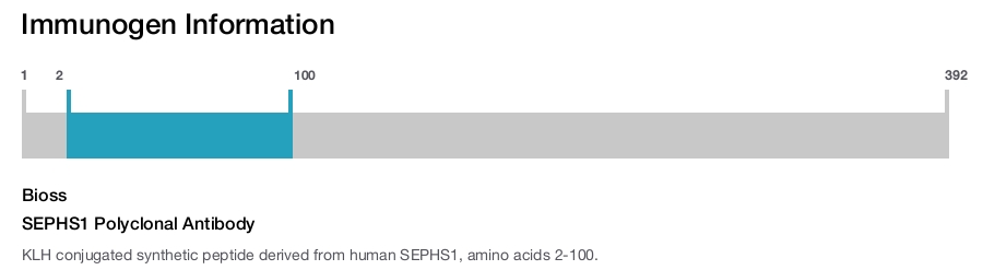 SEPHS1 Polyclonal Antibody