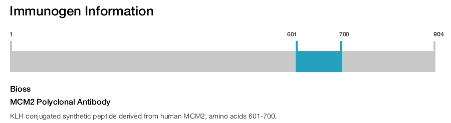 MCM2 Polyclonal Antibody