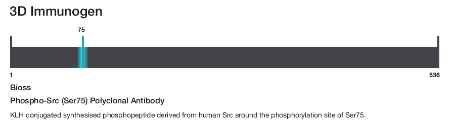 Phospho-Src (Ser75) Polyclonal Antibody