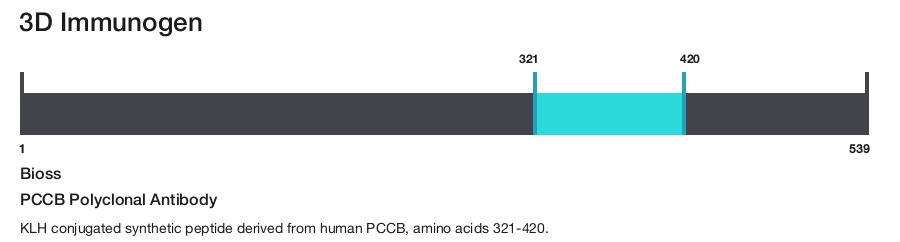 PCCB Polyclonal Antibody