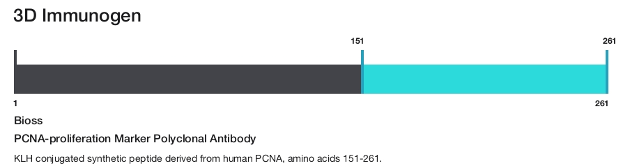 PCNA-proliferation Marker Polyclonal Antibody