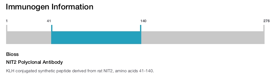 NIT2 Polyclonal Antibody
