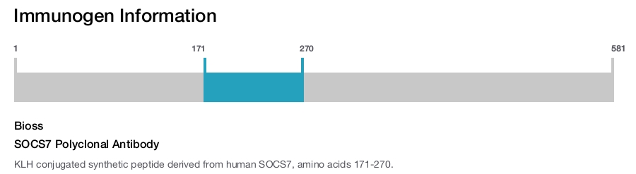 SOCS7 Polyclonal Antibody