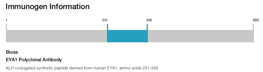 EYA1 Polyclonal Antibody