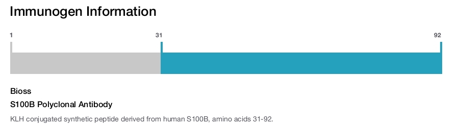S100B Polyclonal Antibody