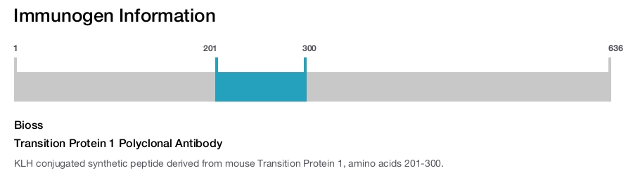Transition Protein 1 Polyclonal Antibody