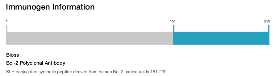 Bcl-2 Polyclonal Antibody