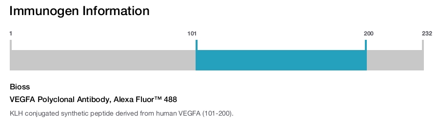 VEGFA Polyclonal Antibody, Alexa Fluor™ 488