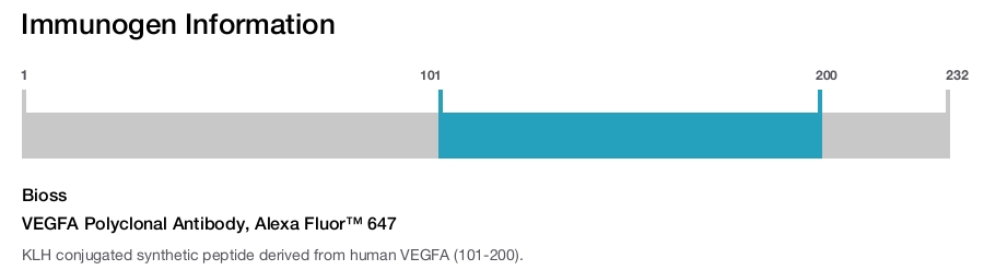 VEGFA Polyclonal Antibody, Alexa Fluor™ 647