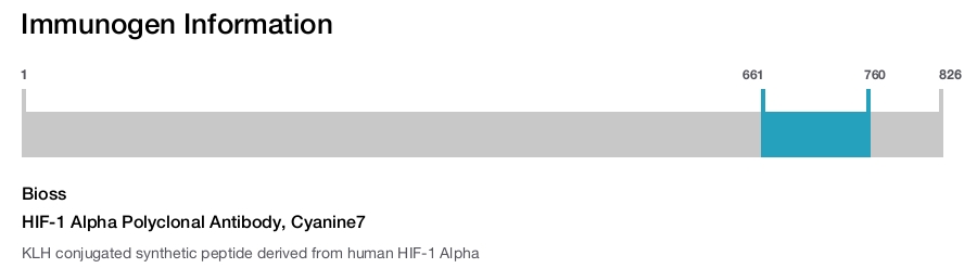 HIF-1 Alpha Polyclonal Antibody, Cyanine7