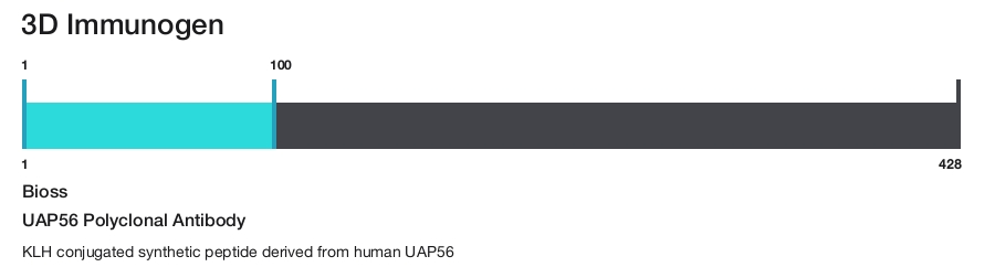UAP56 Polyclonal Antibody